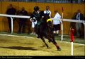 Cavalieri19.jpg