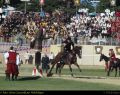 Cavalieri06.jpg