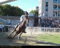 Cavalieri02.jpg