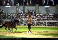 Cavalieri17.jpg