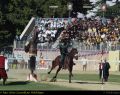 Cavalieri11.jpg