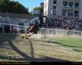 Cavalieri08.jpg
