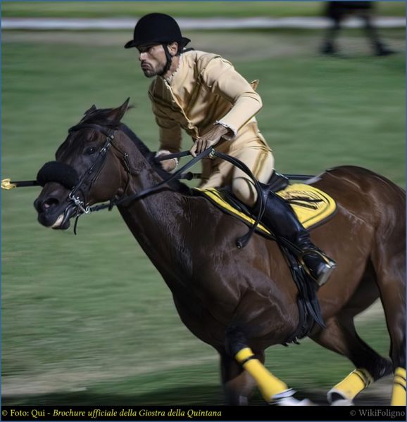 File:Cavalli05.jpg