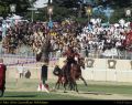 Cavalieri04.jpg