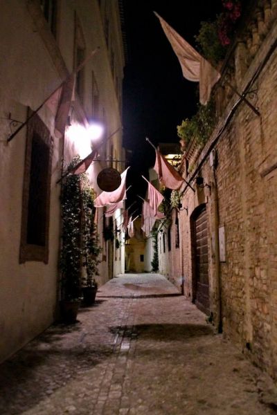 File:Amm001.jpg