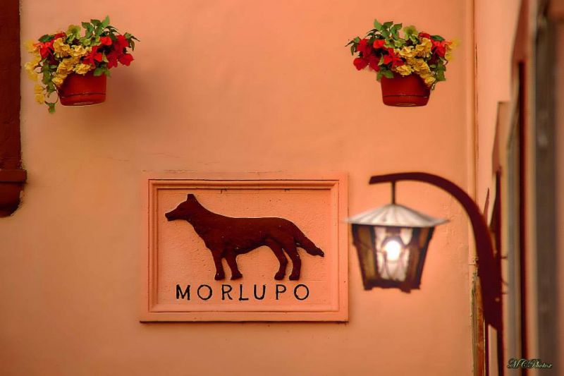 File:Mor003.jpg