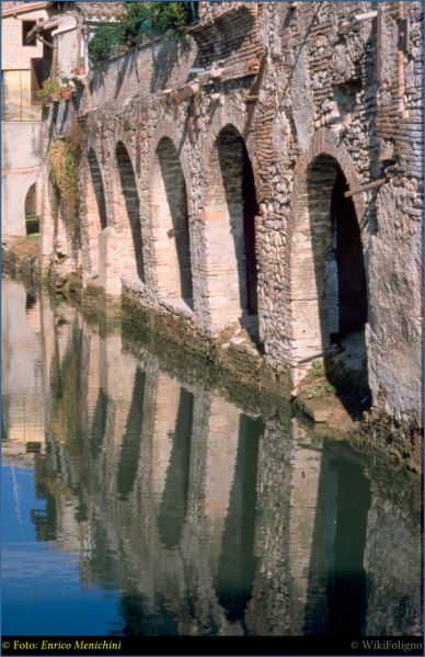 File:L11-LeConce.jpg
