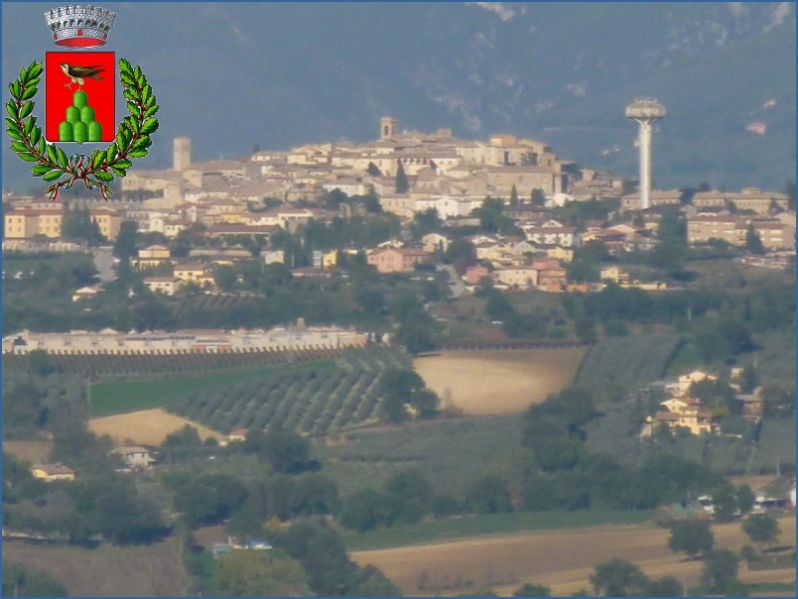 File:ComuneMontefalco.jpg
