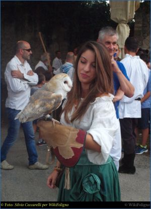 Soprastanti10.jpg