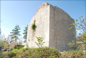 FrazVerchiano.jpg