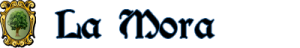 BannerSmall LaMora.png
