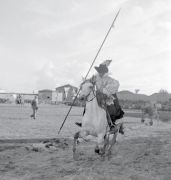 Cavaliere di Giostra