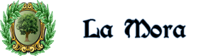 BannerLaMora.png