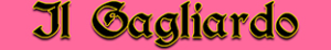 BannerFintoNome Ammanniti.png